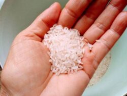 Awas! Makan Beras Mentah Bisa Bikin Keracunan dan Merusak Dinding Usus