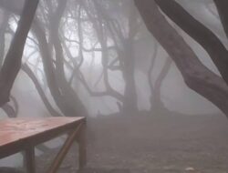 Viral! Warung Makan di Tangkuban Parahu Punya Pemandangan Hutan bak Film Harry Potter