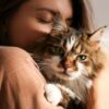 Waspadai Parasit Toxoplasma, Kotoran Kucing yang Bikin Wanita Susah Hamil