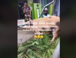 Viral! Seorang Mualaf di Papua Ingin Jadikan Babi sebagai Hewan Kurban, Netizen Apresiasi Niatnya
