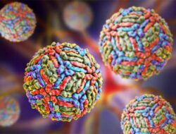 5 Fakta Virus West Nile, Penyebab hingga Langkah Pencegahannya