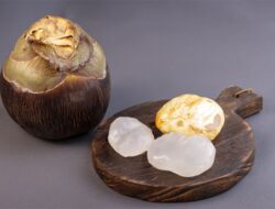 Manfaat Buah Lontar untuk Kesehatan, Salah Satu Menu Diet Prilly Latuconsina