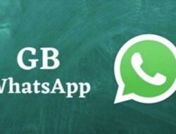 Fitur-fitur WhatsApp GB dan fungsinya