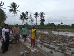 Program PISEW Dan Rencana Kades Lombok Kulon Bondowoso – BeritaNasional.ID