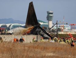 Tragedi di Bandara Muan: Mengenal pesawat Boeing 737-800 aset Jeju Air