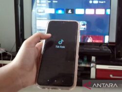 Aplikasi RedNote, alternatif baru di tengah pemblokiran TikTok