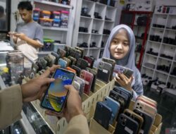Fungsi dan manfaat nomor IMEI pada iPhone