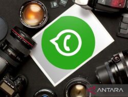 Perplexity AI bisa berfungsi di WhatsApp, begini cara menggunakannya