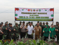 TMMD ke124 Kodim 0320 Dumai Pentingnya Penanaman Bibit Mangrove di Kawasan Pesisir Pantai