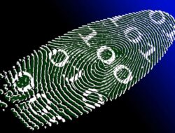 10 Negara yang melarang scan biometrik Worldcoin World App