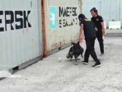 Bea Cukai Dumai Fokus Pemeriksaan Penumpang Kapal Feri Dumai