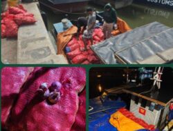 Penangkapan Kapal Bermuatan Bawang Ilegal Oleh Satgas Patroli Laut Terpadu Jaring Sriwijaya BC 8006