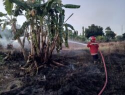 Lima Menit Kobaran Api Berhasil di Padamkan Petugas Damkar Dumai
