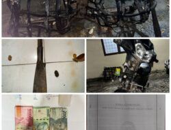 TERTANGKAP TANGAN! Pria Bengkalis Diciduk Saat Mencuri 82 Janjang Sawit di Dumai