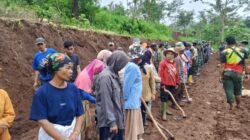 Begini Jika Kaum Perempuan dan Lansia Bantu TNI Keraskan Jalan TMMD ke-127 – BeritaNasional.ID