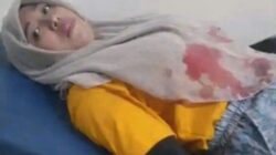 Pekerja Pabrik Kayu di Gending Probolinggo Jadi Korban Begal, Sempat Dilukai Senjata Tajam – BeritaNasional.ID