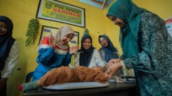 Semangat Hari Kebangkitan Nasional 2026, Pertamina Patra Niaga Kilang Dumai Bersama Kelompok Wanita Mundam Berseri Perkuat Pencegahan Stunting di Pesisir Dumai
