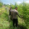 Bhabinkamtibmas Melakukan Pengecekan Pekarangan Pangan Bergizi Dalam Rangka Mendukung Program Ketahanan Pangan Nasional.