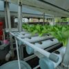 Pertamina Patra Niaga Refinery Unit Dumai Perkuat Upaya Pencegahan Stunting di Kawasan Pesisir Lewat PLTS untuk Kelompok Wanita Mundam Berseri
