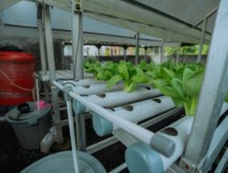 Pertamina Patra Niaga Refinery Unit Dumai Perkuat Upaya Pencegahan Stunting di Kawasan Pesisir Lewat PLTS untuk Kelompok Wanita Mundam Berseri