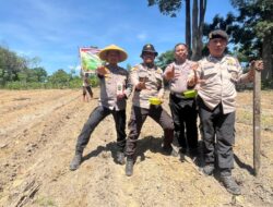 Kapolsek Bukit Kapur IPTU ZULFAHLI, S.H., M.H Bersama Personil Polsek Bukit Kapur Melakukan Penanaman Jagung di Lahan Samping MAKO Polsek Bukit Kapur.