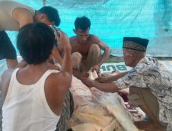 Hari Raya Idul Adha Keluarga Besar Sutrisno Melaksanakan Pemotongan Satu Hewan Qurban Sapi.