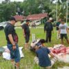 Menyambut Hari Raya Idul Adha PWI Persatuan Wartawan Indonesia Kota Dumai Ikut Qurban 1 Ekor Sapi