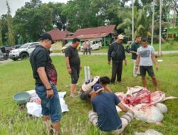 Menyambut Hari Raya Idul Adha PWI Persatuan Wartawan Indonesia Kota Dumai Ikut Qurban 1 Ekor Sapi