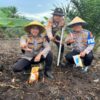Personil Polsek Bukit Kapur Melakukan Penanaman Jagung di Wilayah Polsek Bukit Kapur.