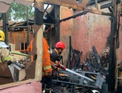 Si Jago Merah Lalap Dua Rumah Sekaligus – BeritaNasional.ID