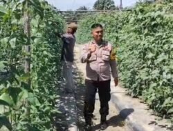 Bhabinkamtibmas Bersama Petani Melakukan Pengecekan Pekarangan Pangan Bergizi Dalam Rangka Mendukung Program Ketahanan Pangan Nasional.