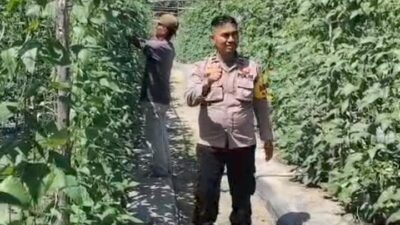 Bhabinkamtibmas Bersama Petani Melakukan Pengecekan Pekarangan Pangan Bergizi Dalam Rangka Mendukung Program Ketahanan Pangan Nasional.