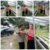 Bhabinkantinmas Bukit Kapur Aipda Butarbutar Bersama Petani Memampatkan Lahan 1 x 3 M Untuk di Tanami Sayur Selada .