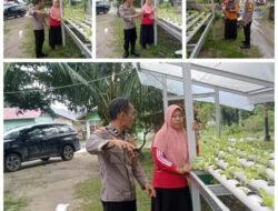 Bhabinkantinmas Bukit Kapur Aipda Butarbutar Bersama Petani Memampatkan Lahan 1 x 3 M Untuk di Tanami Sayur Selada .
