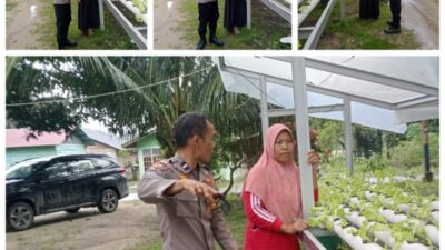 Bhabinkantinmas Bukit Kapur Aipda Butarbutar Bersama Petani Memampatkan Lahan 1 x 3 M Untuk di Tanami Sayur Selada .