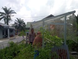 Bhabinkamtibmas Bersama Petani Melakukan Pengecekan Pekarangan Pangan Bergizi Dalam Rangka Mendukung Program Ketahanan Pangan Nasional.