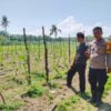 Polsek Sungai Sembilan Bersama Petani Melakukan Pengecekan Pekarangan Dalam Rangka Mendukung Penuh Program Ketahanan Pangan Nasional