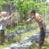 Bhabinkamtibmas Melaksanakan Pengecekan Pekarangan Pangan Bergizi Nasional