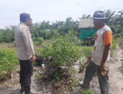 Bhabinkamtibmas Bripka Wendhy k Watibessy Bersama Petani lakukan Pengecekan Pekarangan Pangan Bergizi