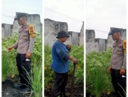 Bhabinkantinmas Aipda Butar Butar Bersama Petani Melakukan Pengecekan Pengarangan Pangan Bergizi Tanaman Rimbang