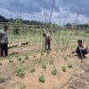 Bhabinkantipmas  Aipda  S Malau Bersama  Aipda  J. Tindaon  Turun Petani Bersama Melakukan  Pengecekan Pekarangan Pangan Bergizi.