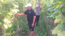 Bhabinkamtibmas Aiptu Subandi Bersama Petani Melakukan Pengecekan Pekarangan Pangan Bergizi .
