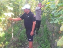 Bhabinkamtibmas Aiptu Subandi Bersama Petani Melakukan Pengecekan Pekarangan Pangan Bergizi .