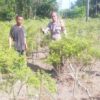 Bhabinkamtibmas Bukit Kapur Bersama Petani Mendukung Penuh Program Ketahanan Pangan Nasional.