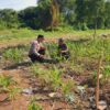 Kapolsek KSKP Dumai AKP Hardianto, S.E., M.Si. Mendukung Program Ketahanan Pangan