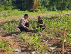 Kapolsek KSKP Dumai AKP Hardianto, S.E., M.Si. Mendukung Program Ketahanan Pangan