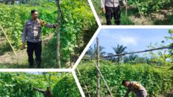 Aipda Ardian Kurniawan Melaksanakan Giat Pengecekan Pekarangan Pangan Bergizi Dalam Rangka Mendukung Program Nasional.