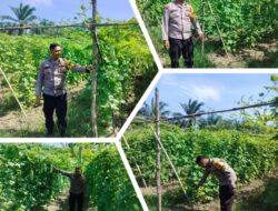 Aipda Ardian Kurniawan Melaksanakan Giat Pengecekan Pekarangan Pangan Bergizi Dalam Rangka Mendukung Program Nasional.