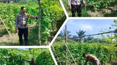 Aipda Ardian Kurniawan Melaksanakan Giat Pengecekan Pekarangan Pangan Bergizi Dalam Rangka Mendukung Program Nasional.