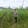 Bhabinkamtibmas Bersama Petani Melakukan Pengecekan Pekarangan Pangan Bergizi.